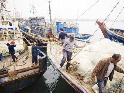 Tàu đánh cá gần bãi cạn Scarborough.