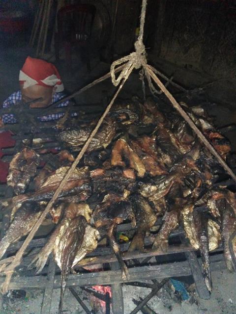 phơi khô cá hồi