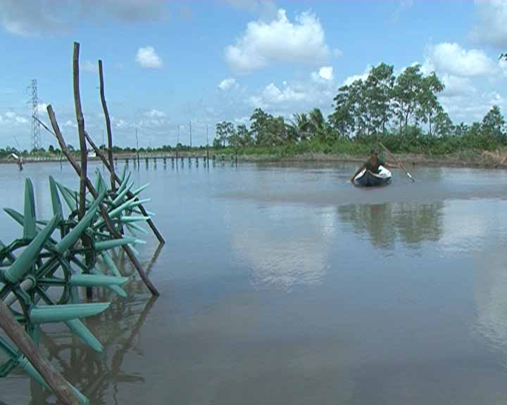 phòng bệnh đốm trắng