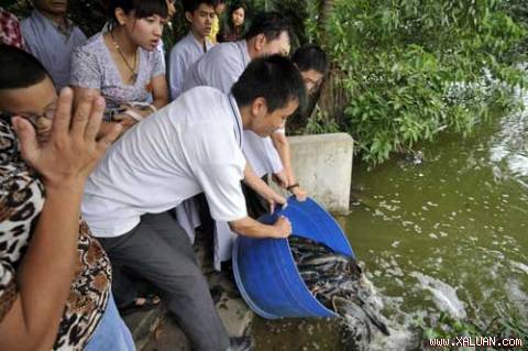 phóng sinh tôm cua cá