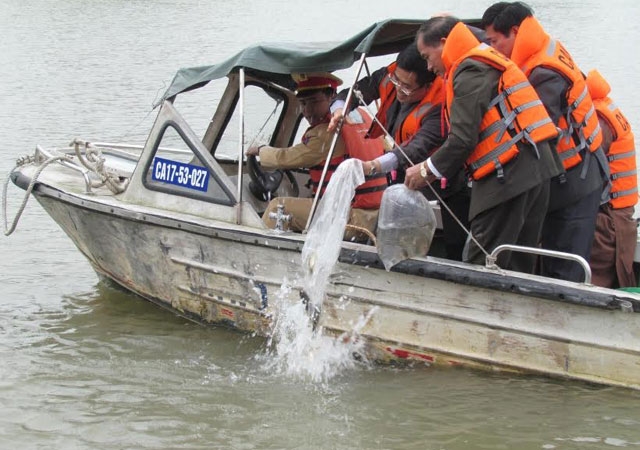 Thả cá phóng sinh trên sông Trà Lý, TP Thái Bình