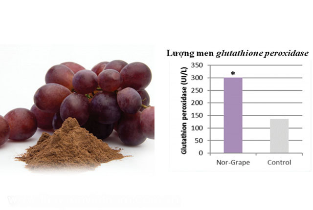 Phụ gia thức ăn thủy sản từ chiết xuất nho khô