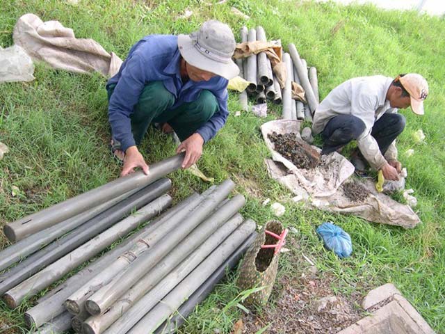 đặt ống trúm lươn