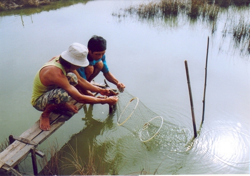 quản lý ao tôm