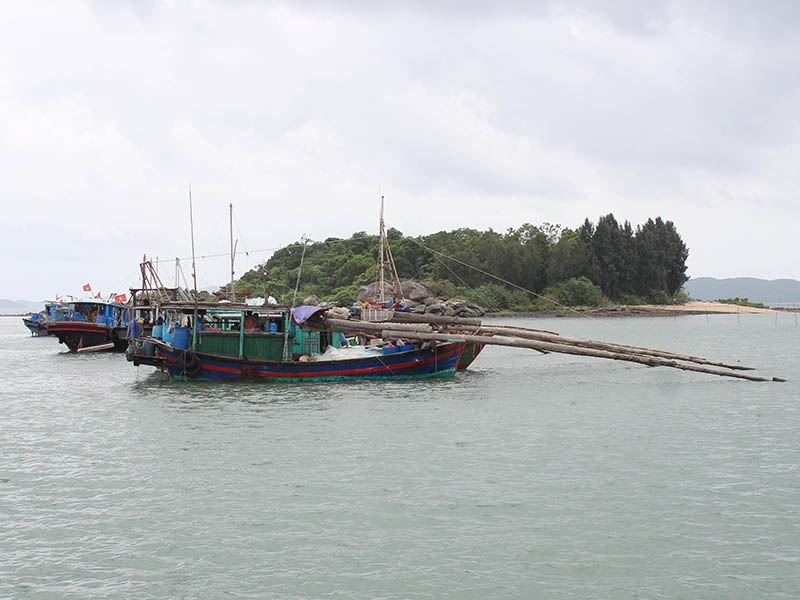 Khó khăn trong xử lý phương tiện khai thác tận diệt