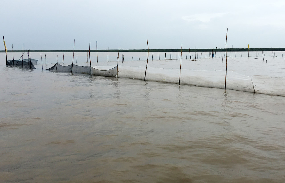 Cà Mau cần quản lý chặt chẽ việc nuôi thủy sản ở bãi bồi