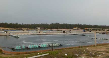 quản lý thủy sản