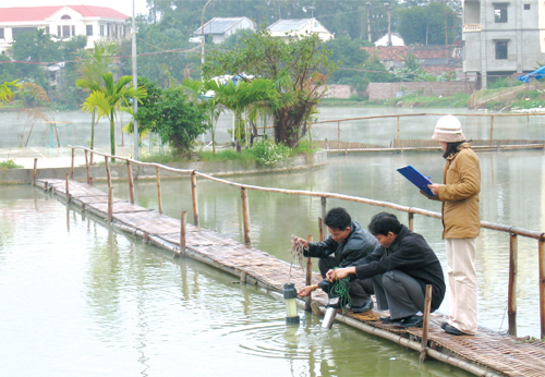 Trà Vinh đầu tư 890 triệu đồng quan trắc môi trường thủy sản