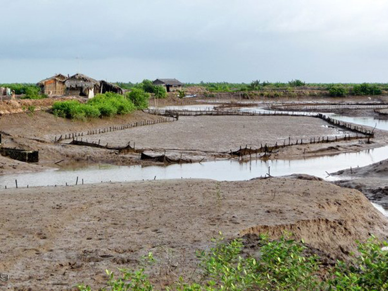 Kết quả quan trắc môi trường nuôi thủy sản bến tre tháng 11