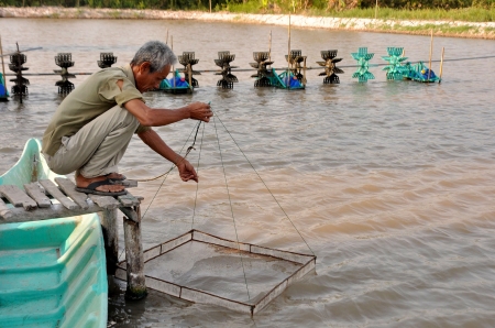 quảng canh cải tiến