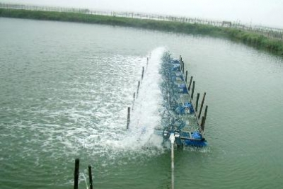 quat nuoc ao nuoi tom