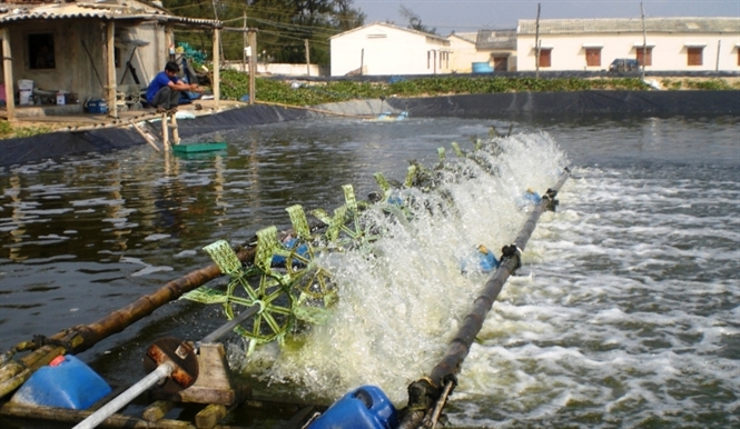 quạt nước ao tôm