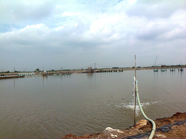 quy hoạch nuôi tôm