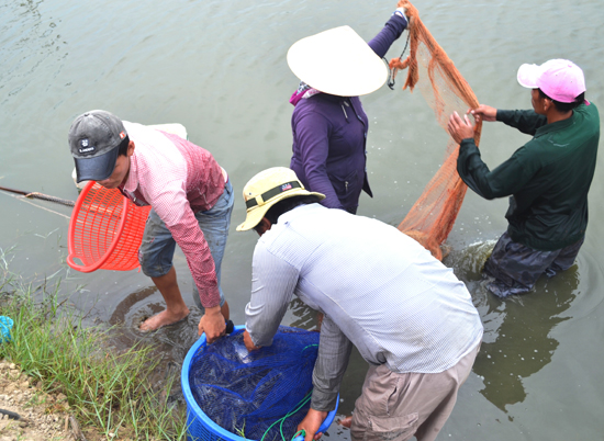 quy hoạch nuôi tôm