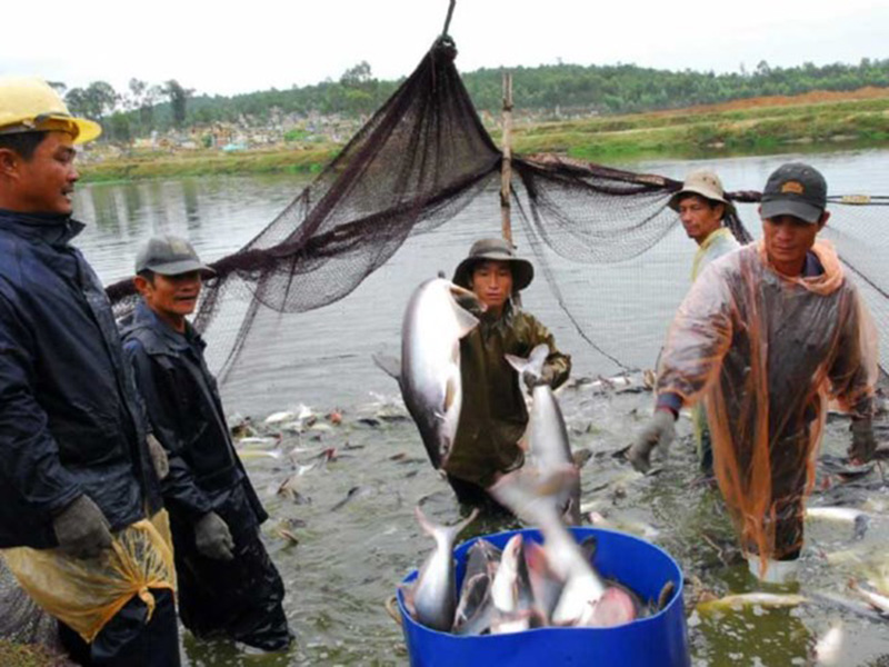 quy hoạch thủy sản, thủy sản, quản lý nguồn lợi, quy hoạch vùng ĐBSCL