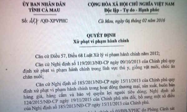 Quyết định xử phạt