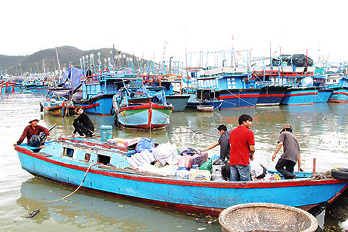 Gác nỗi buồn, hối hả vươn khơi