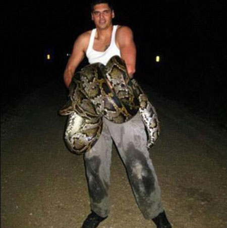 Jason Leon sống ở quận Miami-Dade, bang Florida (Mỹ) bắt và giết được rắn thần Python “khủng” nhất tại đây. Nó có cân nặng 58 kg, dài 5,7m.