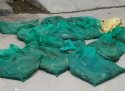 56 rắn hổ mang chúa được nhét trong xế hộp.