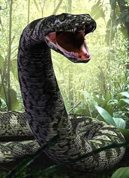 Rắn cực độc: Nếu bạn muốn tìm hiểu về những loài rắn độc nhất và nguy hiểm nhất thế giới, bức ảnh liên quan đến chủ đề này là một lựa chọn tuyệt vời. Hãy thưởng thức những hình ảnh đầy mạo hiểm nhưng đồng thời cũng rất đẹp mắt.