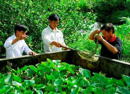 Bồn nuôi rắn của ông Nguyên