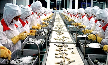 90% doanh nghiệp thủy sản cần vay vốn khẩn cấp