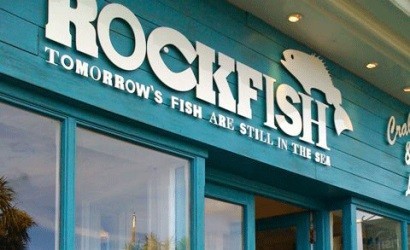 rockfish