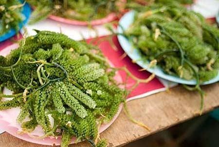 rong biển, rau đại dương