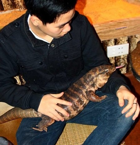 Rồng đất rất thông minh nên được huấn luyện sẽ tỏ ra gần gũi với người.