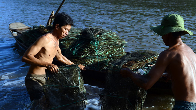 dan cần giờ bạch tuộc