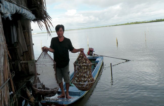 săn cá vồ chó