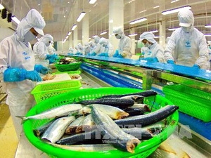 sản lượng cá tra