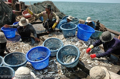 sản lượng đánh bắt thủy sản