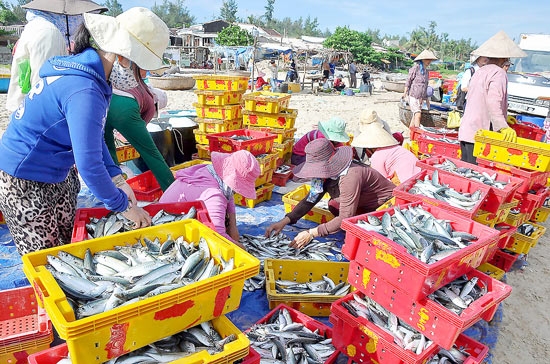 sản phẩm hải sản