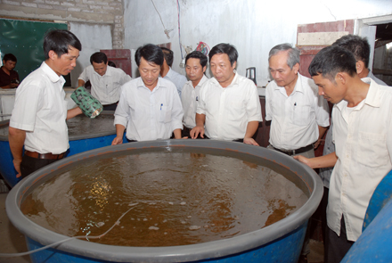 sản xuất cua giống