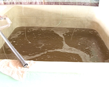 sản xuất tôm giống