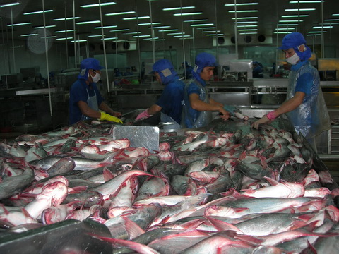 sản xuất tại bình an