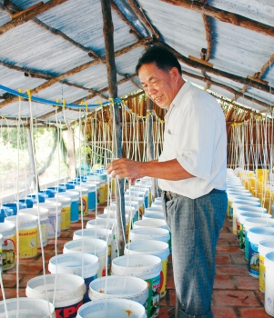 Kỹ thuật nuôi cua óp thành cua cứng của ông Nguyễn Quốc Việt
