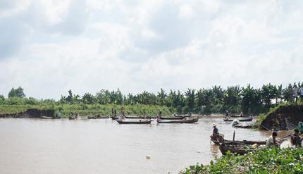 Khu vực sạt lở cặp bờ sông Tiền xã cù lao An Bình.