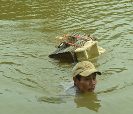 sát thủ cá sông