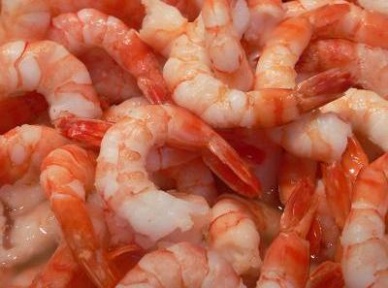 a shrimp