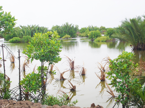 sò huyết bến tre