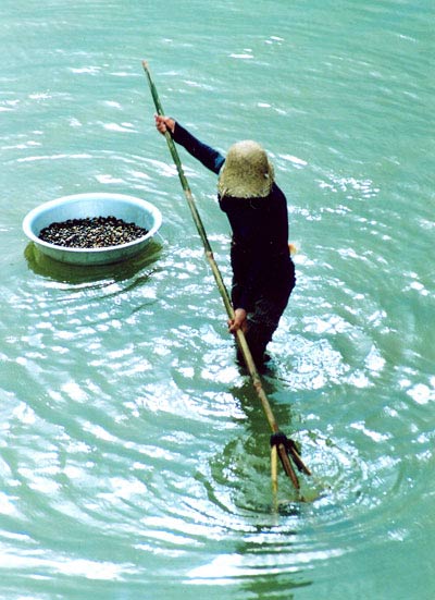 Có lẽ sông Trà là con sông duy nhất ở miền Trung có don