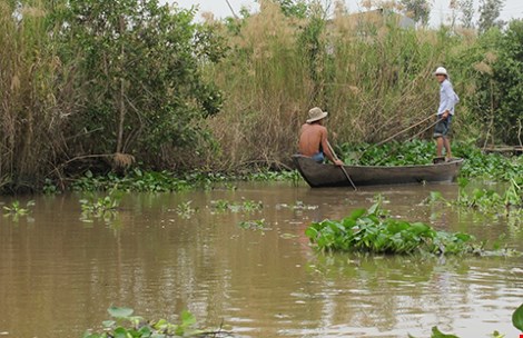 sông Vàm Cỏ Tây