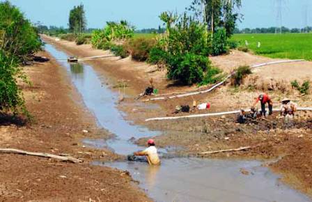 Cà Mau: Nguồn nước nuôi trồng thủy sản bị ô nhiễm nặng