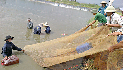 Sử dụng chế phẩm sinh học trong nuôi tôm