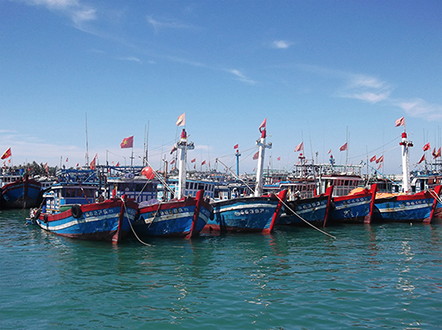 sửa đổi nghị định