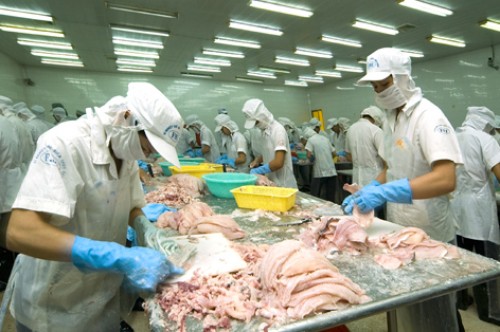 sữa phi lê cá tra
