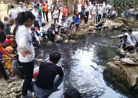 Mỗi ngày có hàng nghìn du khách đến thăm suối cá thần.