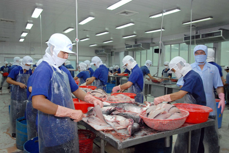 Ảnh minh hoạ (Nguồn: Internet)